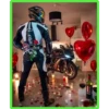 Motos 17