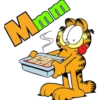 Garfield 16