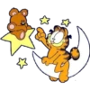 Garfield 17