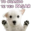 YO CUANDO
TE VEO PASAR