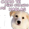 COMO TE
MIRO CUANDO
ME HABLAS