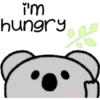 Cute Pets 19