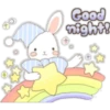 Cute Bunny 18