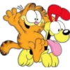 Garfield 20