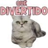 QUÉ
DIVERTIDO