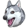 Animals 13