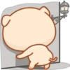 little pig 21