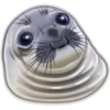 Animals 17