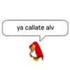 Club Pingüino lol 20