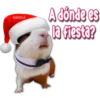 FABIOLA
A dónde es
la fiesta?