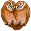 Animals 18