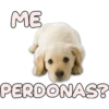ME
PERDONAS?