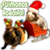 ¡Fuimonos
Rodolfo!
FABIOLA