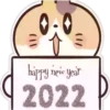 New Year 2022 24