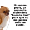 sientes que tragas ligas 17