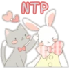 Cute Bunny 22