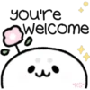 Cute Pets 24