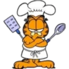 Garfield 25