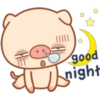 little pig 25