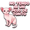 NO TENGO
NI UN
PELO DE
TONTO
ersy