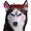 perros tóxicos ᥫ᭡ 18