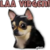 LAA VIRGEN!
@lexa