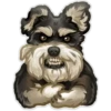 Animals 22