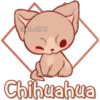 Eli&Javi(JD)
Chihuahua