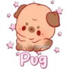 Eli&Javi(UD)
*Pug
☆