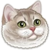 Animals 25