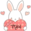 Cute Bunny 25