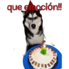 perros tóxicos ᥫ᭡ 22
