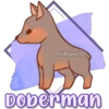 Eli&Javi(JD)
Doberman