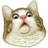 Animals 26