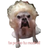 perros tóxicos ᥫ᭡ 23