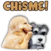 CHISME!
@lexa