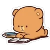 Milk & Mocha Bear 18