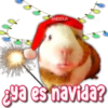 FABIOLA
ya es navida?