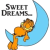 Garfield 27