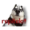 perros tóxicos ᥫ᭡ 26