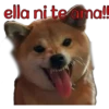 perros tóxicos ᥫ᭡ 27