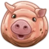Animals 27