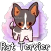 Eli&Javi(JD)
Rat Terrier