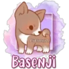 Eli&Javi(JD)
Basenji
