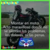Motos 28