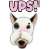 UPS!!
D