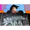 Sabanas Animales 28