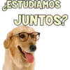 ¿ESTUDIAMOS
JUNTOS?