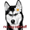 perros tóxicos ᥫ᭡ 30