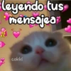 leyendo tus
mensajea
f
cokki
